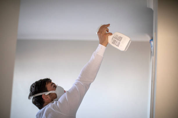 Best Black Mold Remediation in Moorhead, MN