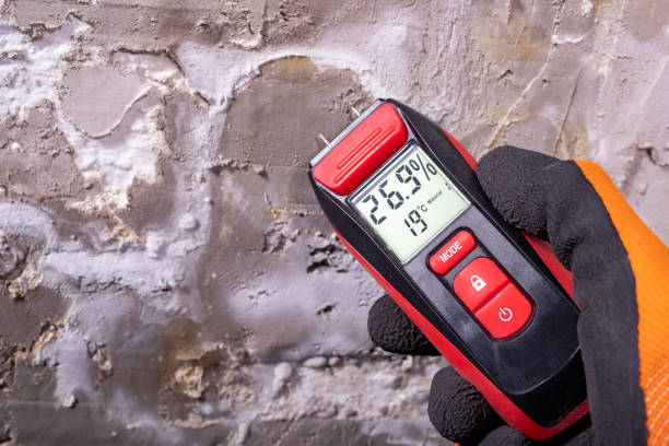Best Attic Mold Remediation in Moorhead, MN
