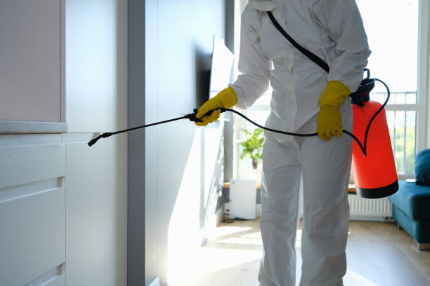 Best Residential Mold Remediation in Moorhead, MN